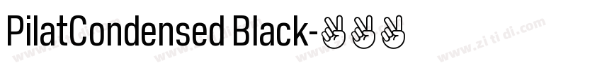 PilatCondensed Black字体转换